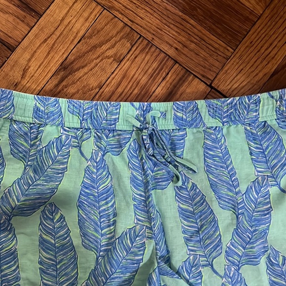 Vineyard vines shorts green and blue size: S - Picture 2 of 7
